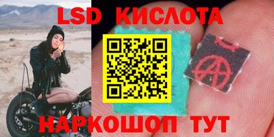 кокс Кандалакша