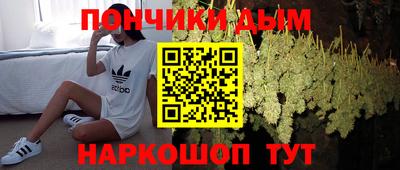 тгк Кингисепп