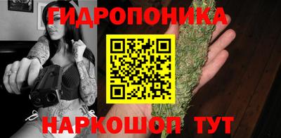 кокс Кандалакша