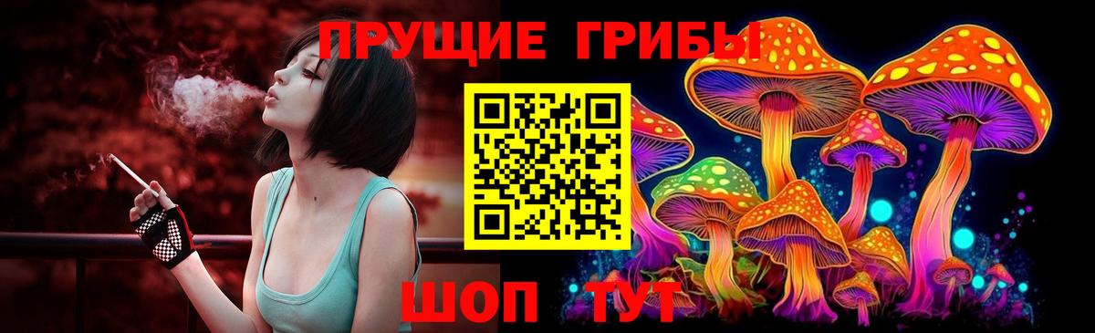 Псилоцибиновые грибы GOLDEN TEACHER Красный Сулин